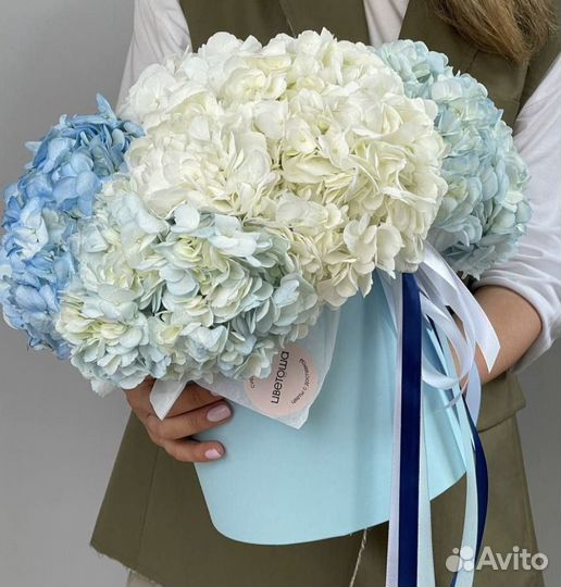 Гортензия, букеты из гортензий, композиции