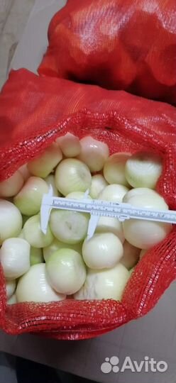 Лук очищенный сетка свежий и замороженный