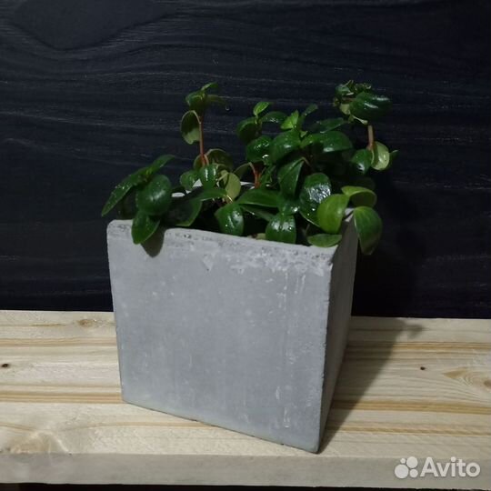 Горшки, Вазоны, Кашпо под заказ из бетона арт 138