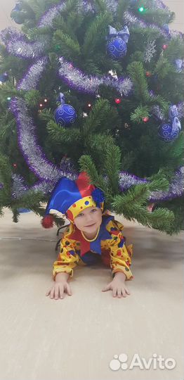 Костюм Петрушки