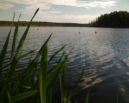 Участок 11,6 га (СНТ, ДНП)