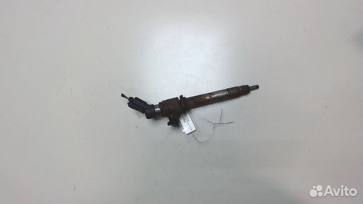 Форсунка топливная Land Rover Range Rover 3 (LM)