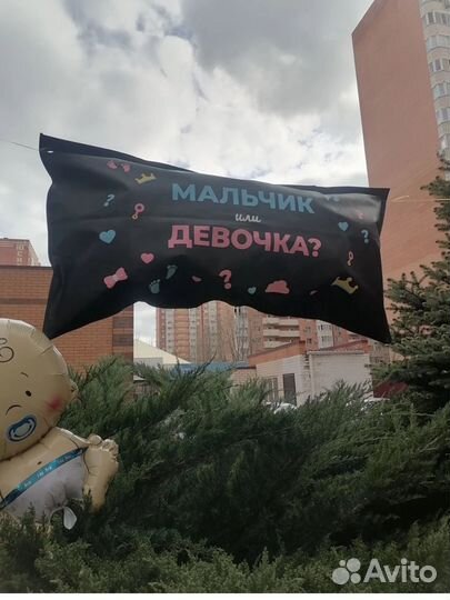 Гендер пати