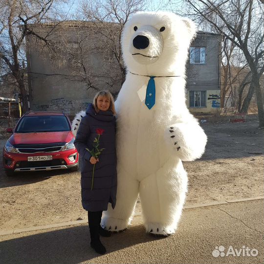 Белый Мишка поздравление