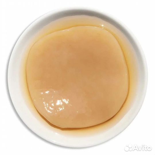 Чайный гриб комбуча