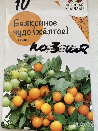 Рассрада для зимнего огорода на подоконнике