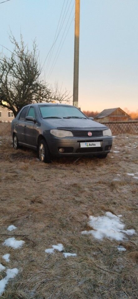 FIAT Albea: фото владельца