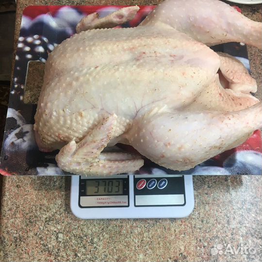 Мясо Перепелов, Мясо утки, Мясо кролика