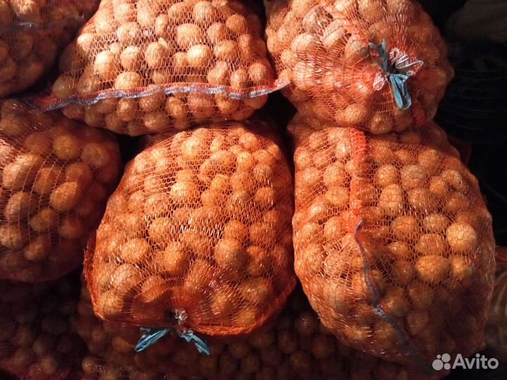 Семейной картофель