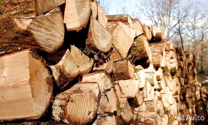 Дрова ольха