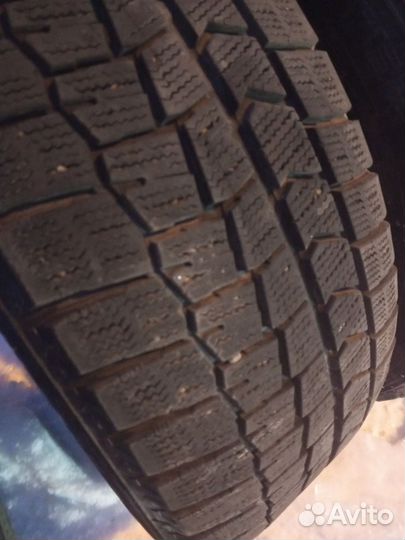 Dunlop Winter Maxx 205/55 R16 91Q