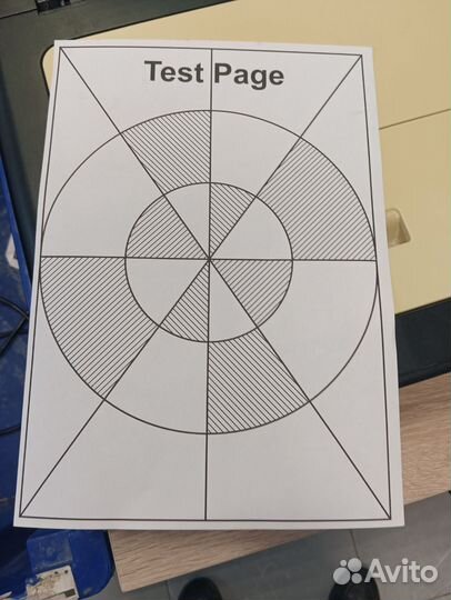 Лазерный принтер Ricoh sp 100