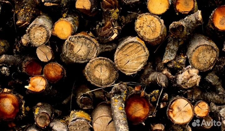 Дрова из ло