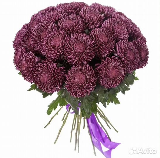 Свежие Цветы Букеты Розы 15 25 35 55 101 Астрахань