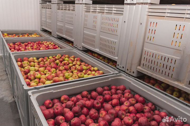 Большие Пластиковые Ящики Контейнеры Краснодар