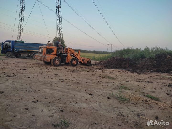 Навоз коровий