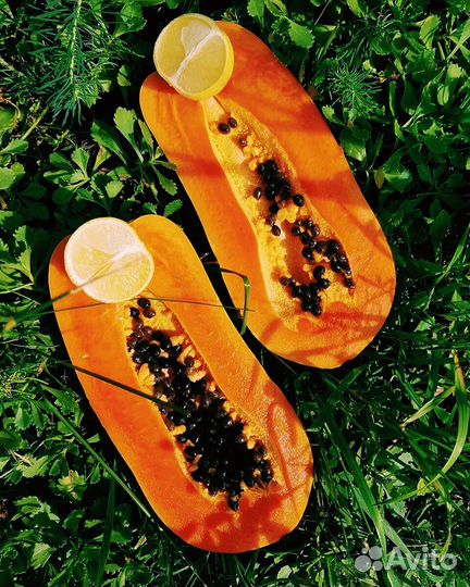 Папайки из Таиланда