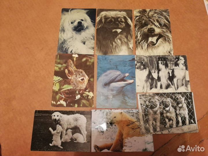 Открытки СССР, разные