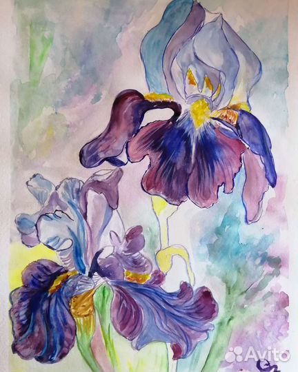 Картина. Ирисы