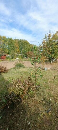 Дом 10 м² на участке 4 сот.