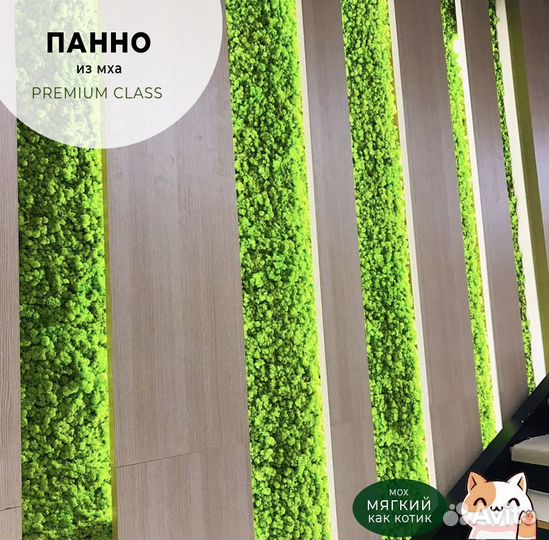 Панно из мха с подсветкой