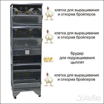 Домашняя Ферма для бройлеров с брудером
