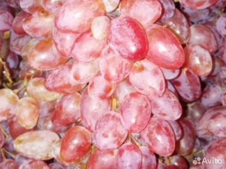 Фрукты, овощи, орехи, сухофрукты оптом и в розницу