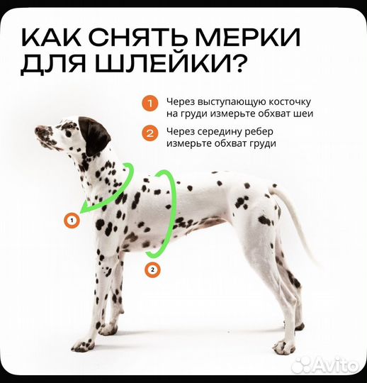 Анатомическая шлейка pro comfort