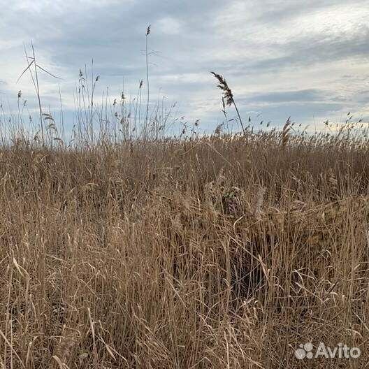 Маскировочная сеть для охоты