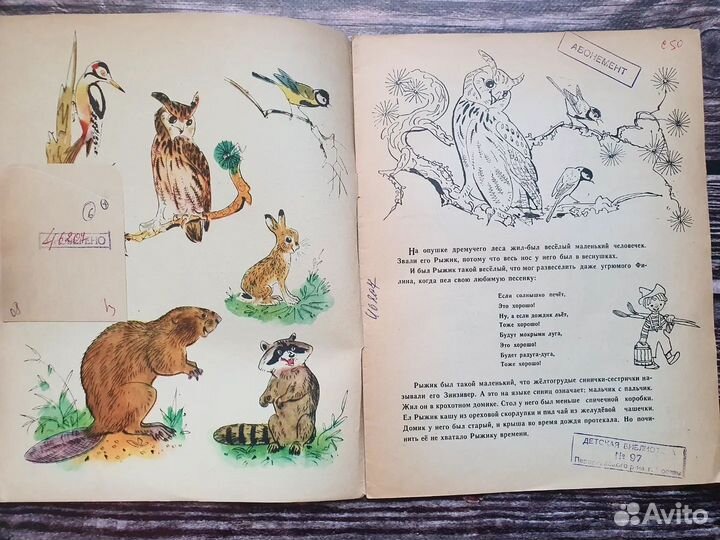 Смирнов. Рыжик. 1971 г