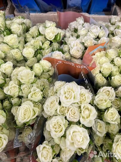 Букет Кустовых роз