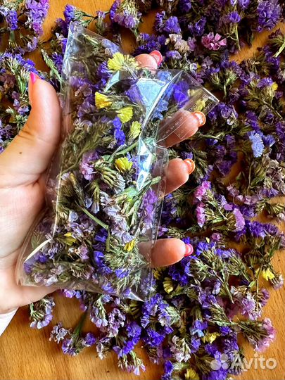 Сухие цветы