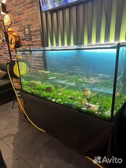 Аквариум