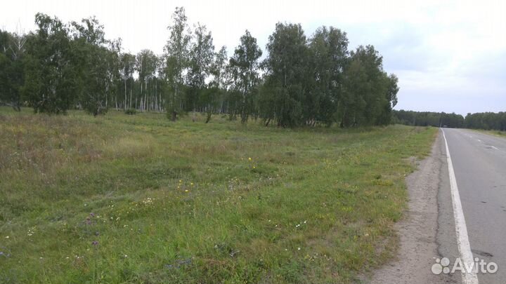 Земельный участок под комплекс возле озера