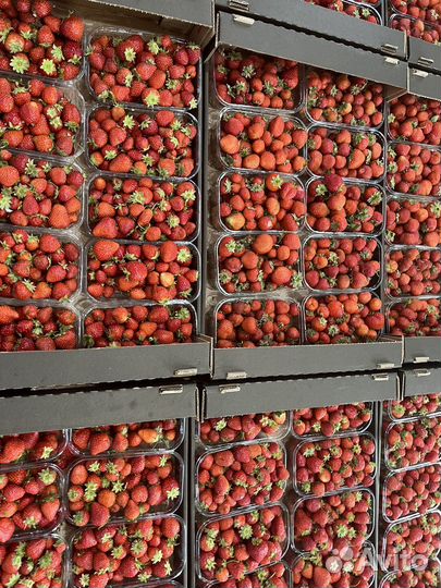 Свежая малина голубика ежевика