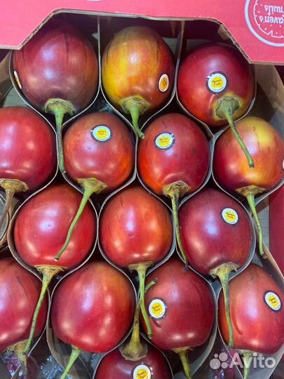 Тамарильо фрукт свежий