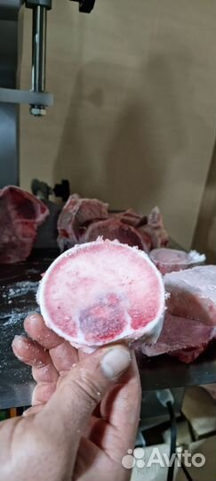 Пилы для мяса от производителя