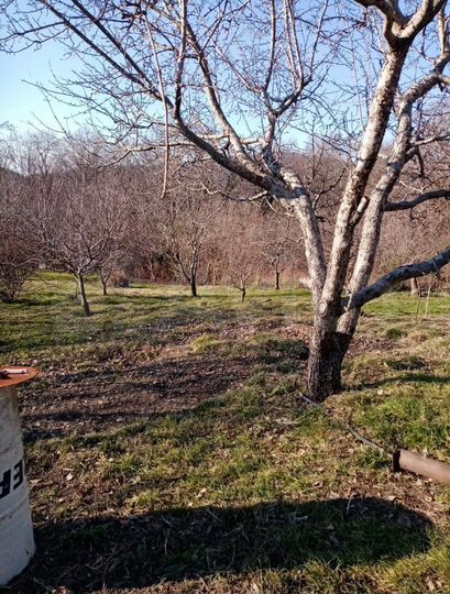 Участок 8 сот. (ИЖС)