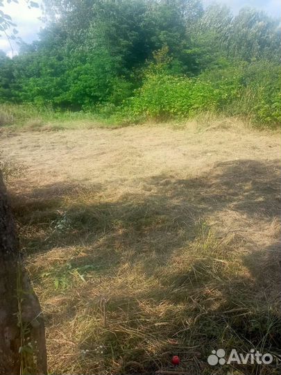 Покос травы.расчистка участка