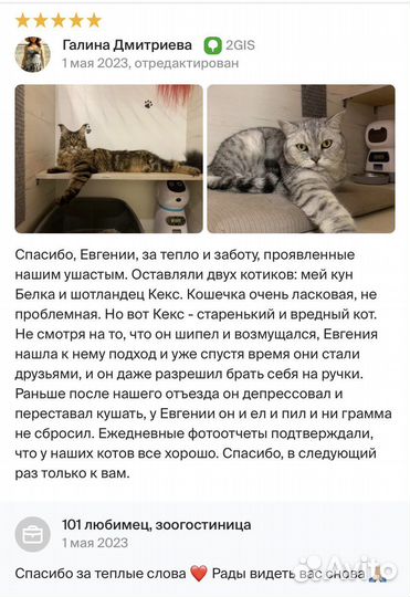 Отель для животных