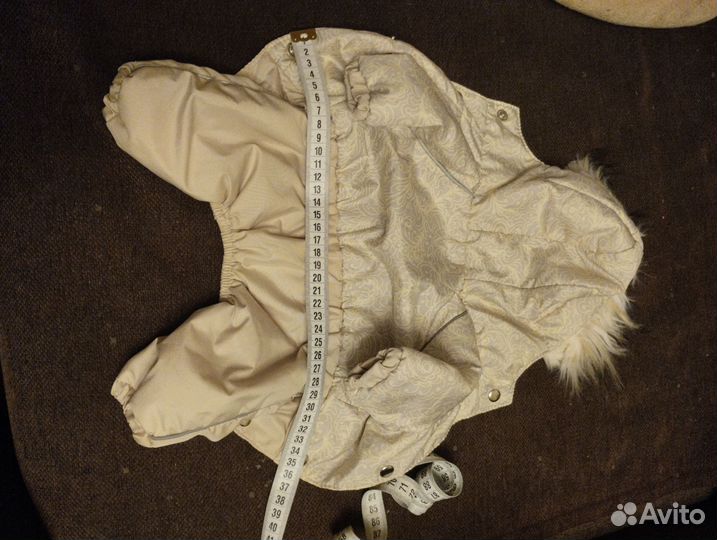 Одежда для собак