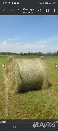 Продам сено в рулонах 120