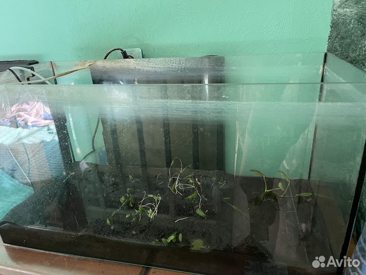 Аквариум 100 литров