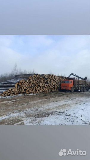 Услуги Фискарса и Сортиментовозов