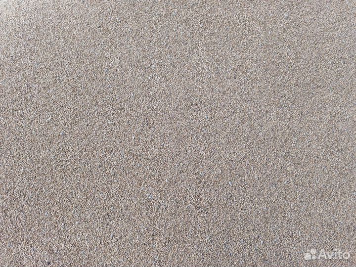 Пшеница урожая 2023 года