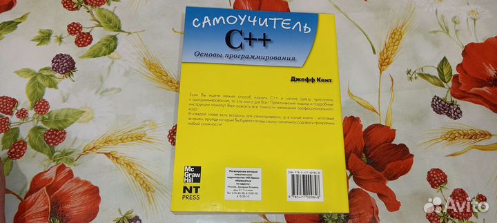 C++ Основы программирования Самоучитель Джефф Кент
