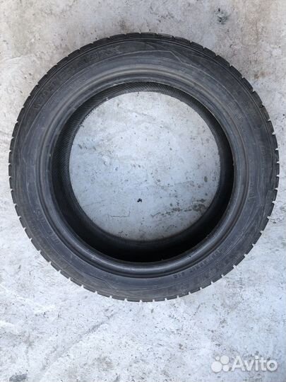 Dunlop Winter Maxx WM01 205/55 R17 91Q