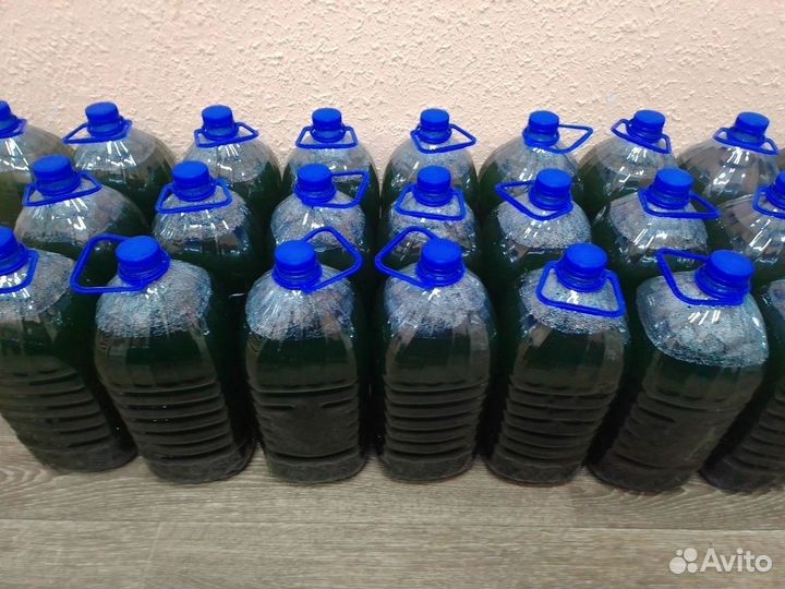 Хлорелла суспензия очищает пруд