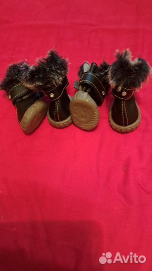 Зимние ботинки для собак мелких пород