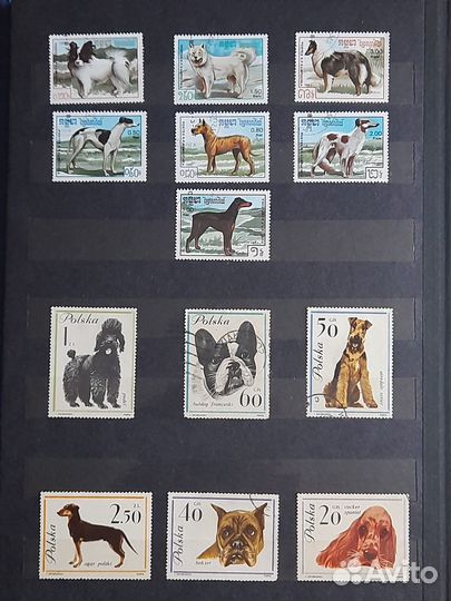 Коллекция почтовых марок 